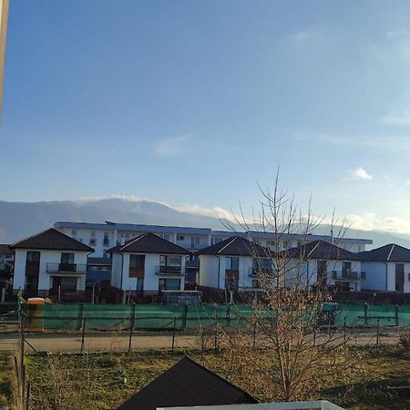 דירות Ghimbav Marina'S House מראה חיצוני תמונה