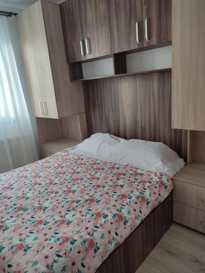 דירות Ghimbav Marina'S House מראה חיצוני תמונה